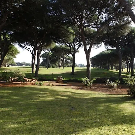 Cozy Golf In *